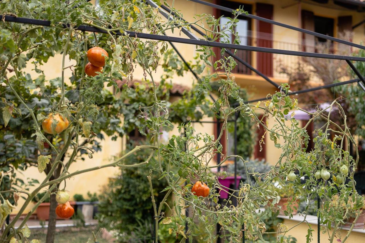 La Valle B&B Asti Exterior photo